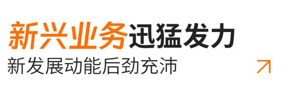1728443143192450.png 小標題03-新興業(yè)務(wù).png