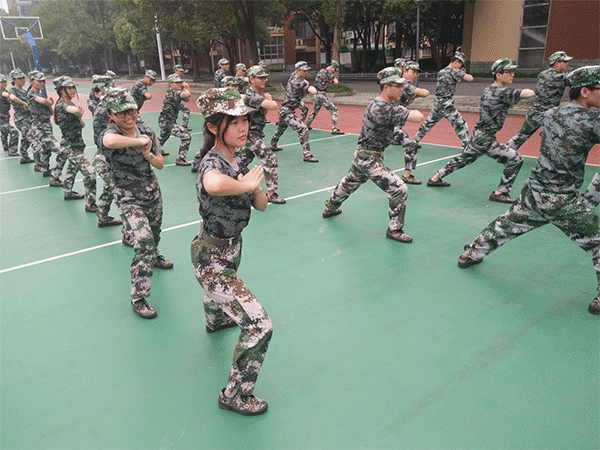 1563780253139048.gif 9.gif