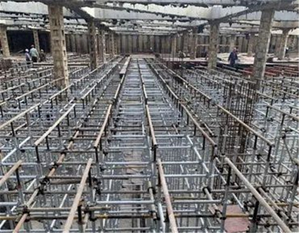 1587447110138030.jpg 7.jpg