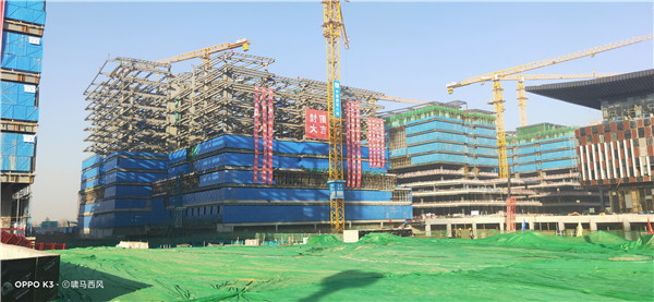 1609134367616630.jpg 2.jpg